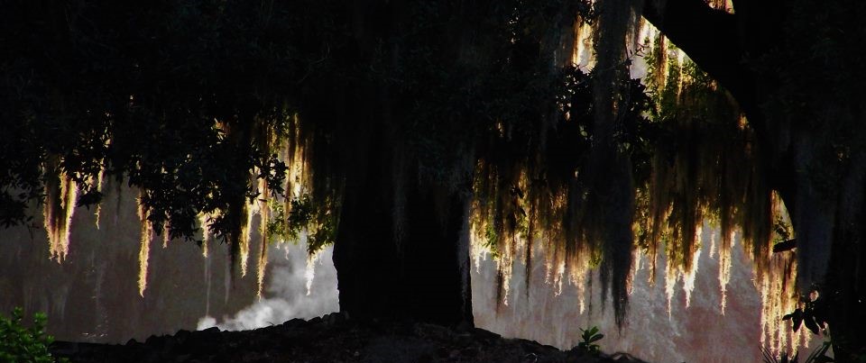 Charmed A.S.A.P.  (As Southern As Possible)